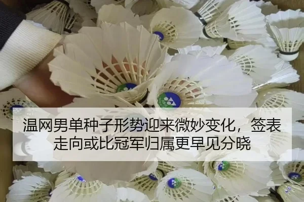 温网男单种子形势迎来微妙变化，签表走向或比冠军归属更早见分晓